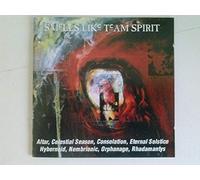 Various - Smells Like Team Spirit