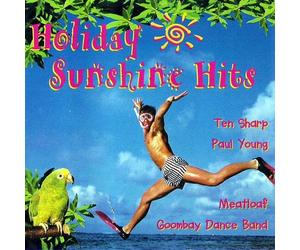 Various - Sommer Sonnenschein Hits (CD Compilation, 16 Titel, Diverse Künstler) Cock Robin - When Your Heart Is Weak / Donovan - Sunshine Superman / Bonnie Tyler - Straight From The Heart / Sly & The Family Stone - Hot Fun In The Summertime / Paul Young - Everytime You Go Away / Ivan - Fotonovela u.a.