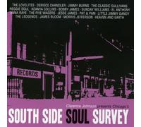 Various Artists - South Side Soul Survey