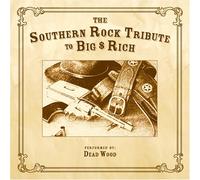 Various - Southern Rock Tribute to Big &