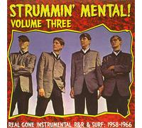 Various - Strummin' Mental! Vol. 3