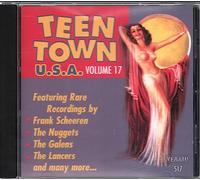 Various - Teentown USA Vol.17