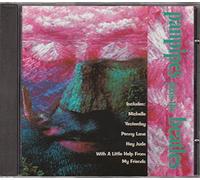 Various - The Panpipes Collection