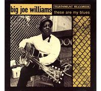 Various - These Are My Blues