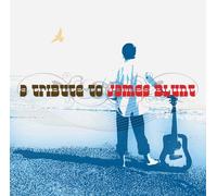 Various - Tribute to James Blunt
