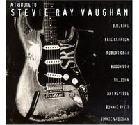 Various - Tribute to Stevie Ray Vaughan