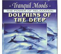 VARIOUS - VARIOUS - TRANQUIL MOODS: THE POWER OF RELAXATION