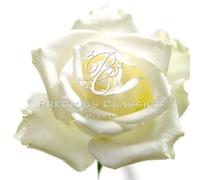 Various - Waltz Preludes & Polonaises