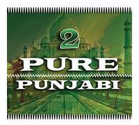 Various [Water Music Records] - Pure Punjabi 2