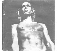 various - we will fall - iggy tribute