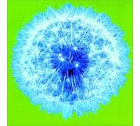 Various - Week Or Two in Real World