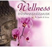 Various - Wellness-Entspannungs-Musik Fr Seele & Sinne