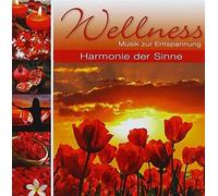 Various - Wellness Harmonie der Sinne