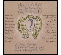 Various - Wig in a Box