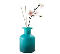 VASANA 1 botella difusora de vidrio de 150 ml/5 oz para aromaterapia, tarros exquisitos aceites esenciales, contenedor de aceites esenciales, accesorios de fragancia