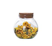 VASANA Tarro de vidrio transparente redondo hermético de 500 ml con tapas de corcho, contenedor de té, jarrón, botella ecológica, recipientes de almacenamiento de alimentos para el hogar y la cocina