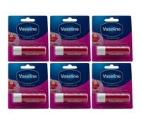 Vaseline Color de Rosa Lápiz Cuidado Labios 6 X 4,8g Pintalabios Para Seco