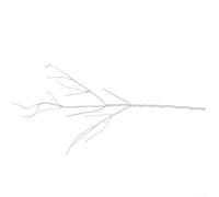 Vasiumic Rama de espuma seca blanca de alta simulación para exhibición de bodas y decoración moderna del hogar, 90 cm o 1 m (pequeño)