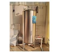 Vaso de expansión 100 160 200 250 300 L Tanque de presión de agua para bomba de pozo, tanques de almacenamiento de agua verticales de acero inoxidable presurizado con kit de montaje para sistema de ag