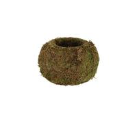 Vaso De Musgo Para Kokedama 14.5CM