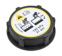 Vaso Expansión Coche Compatible Con Ford Para Focus MK3 Para Ecosport Para B-Max 2012-2025 Tapa Tanque De Expansión Del Refrigerante Del Radiador DG938101AA