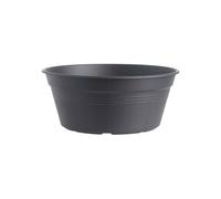 Vaso Para Bulbos Green Basics Bowl 38Cm Living Negro Elho