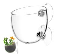 Vaso Planta Acuática - Contenedor Vidrio | Acuario | Maceta Planta Viva | Decoración Acuática Pecera Hogar Oficina