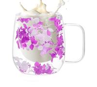 Vasos de Vidrio de Doble Pared Tazas de Café de Vidrio con Flores Secas