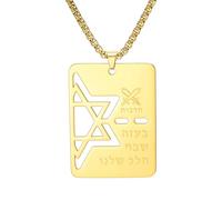 VASSAGO Collar de estrella de David, collar de bendición hebrea, collar de estrella judía, collar de acero inoxidable, colgante de placa de perro, joyería religiosa de Israel, talla única, Acero