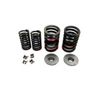 Vástago de válvula de escape de admisión, conjunto de resorte de guía apto for Szuk GN125 GS125 GN GS 125 125cc, piezas de repuesto for motor de motocicleta(Spring)