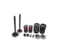 Vástago de válvula de escape de admisión, conjunto de resorte de guía apto for Szuk GN125 GS125 GN GS 125 125cc, piezas de repuesto for motor de motocicleta(Valve and Spring)