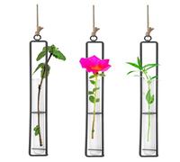 Vastsea 3 Piezas Florero Plantas Colgantes, Soporte de Planta de Aire de Metal Colgante, Decorativo Hierro Forjado, con Cuerda de Yute, Aplicar para Plantas Hidropónico(22.5 x 4 cm)