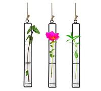 Vastsea 3 Piezas Florero Plantas Colgantes, Soporte de Planta de Aire de Metal Colgante, Decorativo Hierro Forjado, con Cuerda de Yute, Aplicar para Plantas Hidropónico(27,2 x 4cm)