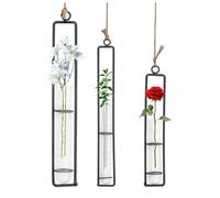 Vastsea 3 Piezas Florero Plantas Colgantes, Soporte de Planta de Aire de Metal Colgante, Decorativo Hierro Forjado, con Cuerda de Yute, Aplicar para Plantas Hidropónico(Negro)