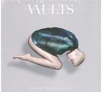 Vaults - Caught In Still Life