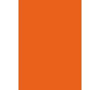 Vaults of the ODD Perpetual Journal, Hardcover, 7 x 10 in, Lined, Orange, 256 Pages: Undated, usable in any year