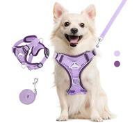 VavoPaw Arnés para Mascotas y Correa para Pasear, Arnés Ajustable Cómodo Antitirones para Perro con Malla Transpirable, Tira Reflectante, Chaleco de Seguridad para Gatos Cachorros, L, Morado Claro