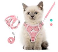 VavoPaw Arnés para Mascotas y Correa para Pasear, Arnés Ajustable Cómodo Antitirones para Perro con Tira Reflectante, Malla Transpirable, Chaleco de Seguridad para Gatos Cachorros, XS, Rosa