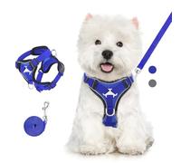 VavoPaw Arnés para Mascotas y Correa para Pasear, Arnés Ajustable Cómodo Antitirones para Perro con Tira Reflectante, Malla Transpirable, Chaleco de Seguridad para Gatos Cachorros, L, Azul Real