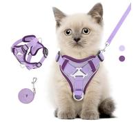 VavoPaw Arnés para Mascotas y Correa para Pasear, Chaleco de Seguridad para Perro con Tira Reflectante, Malla Transpirable, Arnés Ajustable Cómodo Antitirones para Cachorros Gatos, XS, Morado Claro