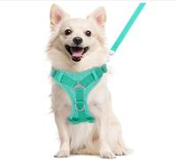 VavoPaw Arnés para Mascotas y Correa para Pasear, Chaleco de Seguridad para Perro con Tira Reflectante, Malla Transpirable, Arnés Ajustable Cómodo Antitirones para Cachorros Gatos, L, Azul