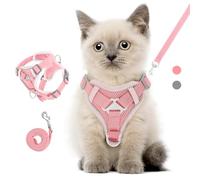 VavoPaw Arnés para Mascotas y Correa para Pasear, Chaleco de Seguridad para Perro con Tira Reflectante, Malla Transpirable, Arnés Ajustable Cómodo Antitirones para Cachorros Gatos, S, Rosa