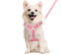 VavoPaw Arnés para Mascotas y Correa para Pasear, Chaleco de Seguridad para Perro con Tira Reflectante, Malla Transpirable, Arnés Ajustable Cómodo Antitirones para Cachorros Gatos, L, Rosa