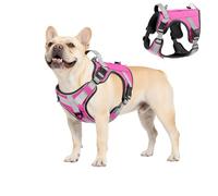 VavoPaw Arnés Táctico Perro, Fácil Control & Sin Tirar Arnés para Perros con Panel Molle y Tira Reflectante, Chaleco Táctico Perro Servicio de Adiestramiento, Paseos, Caza, Outdoor, Rosa, S