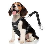 VavoPaw Cinturón de Seguridad para Perros, Ajustable Arnés para Perros de Malla Transpirable & Arnés Cinturón de Seguridad para Mascotas Pequeñas Medianas Grandes, M, Negro