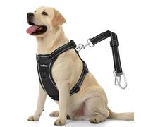 VavoPaw Cinturón de Seguridad para Perros, Ajustable Arnés para Perros de Malla Transpirable & Arnés Cinturón de Seguridad para Mascotas Pequeñas Medianas y Grandes, XL, Negro