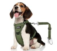 VavoPaw Cinturón de Seguridad para Perros, Arnés para Perros Ajustable de Malla Transpirable & Arnés Cinturón de Seguridad para Mascotas Pequeñas Medianas Grandes, M, Verde Militar Entero