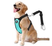 VavoPaw Cinturón Seguro de Perro - Arnés de Coche de Malla con Correa Adjustable de Conector de Viaje con Mosquetón para la Mayoría de los Autos, para Mascotas, Animal Doméstico, XL, Azul