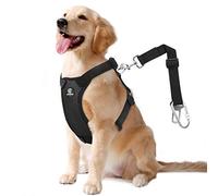 VavoPaw Cinturón Seguro de Perro, Arnés de Coche de Malla con Correa Adjustable de Conector de Viaje con Mosquetón, Apto para la Mayoría de los Autos para Mascotas, Animal Doméstico, Talla XL, Negro