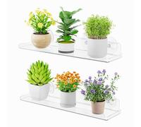 VBESTLIFE 2 Estantes Flotantes de Acrílico para Plantas de Ventana, Estantes Transparentes con Ventosa con 4 Ventosas de 2.0 in para Plantas Suculentas de Interior